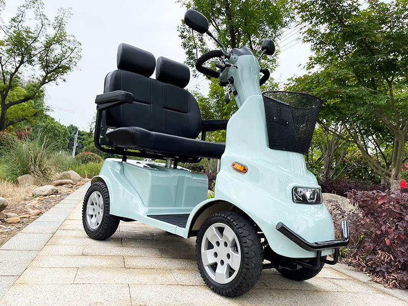 What is an elderly mobility vehicle?